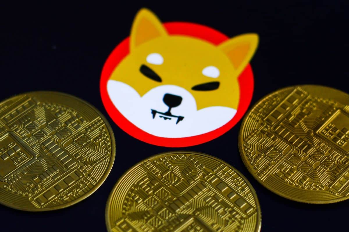 Will Shiba Inu coin reach $1?